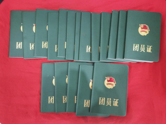 1767834911155957.png image.png