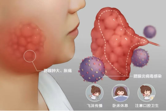 1773133251399198.png image.png