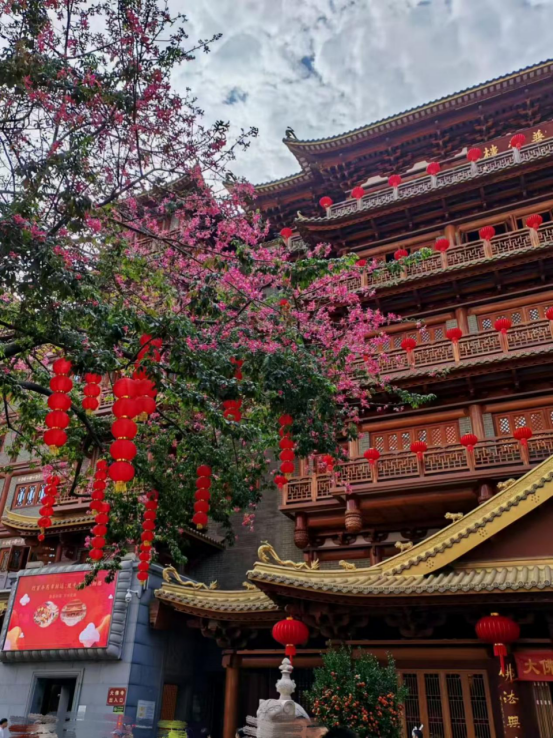 1773368969208698.png image.png