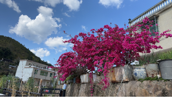 1773370214210804.png image.png