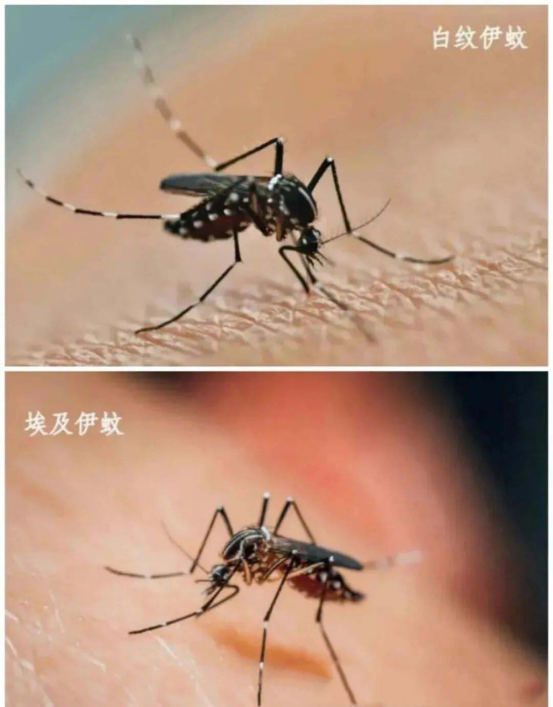 1774494943919905.png image.png