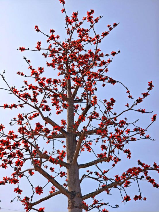 1774571678321878.png image.png