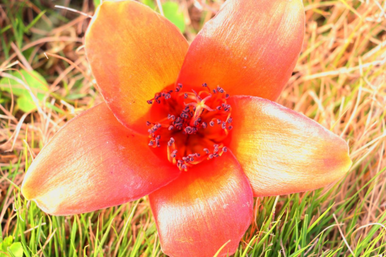 1774571745206311.png image.png