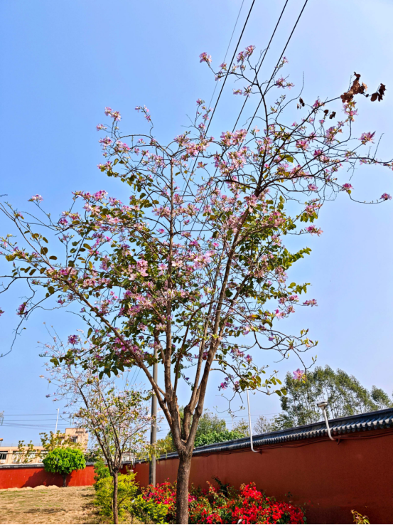 1774571763351868.png image.png