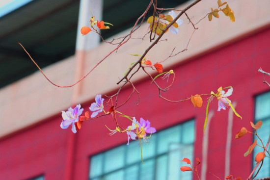 1774571776925373.png image.png