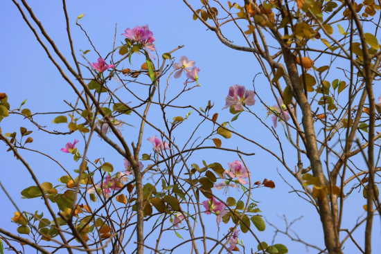 1774571784128983.png image.png