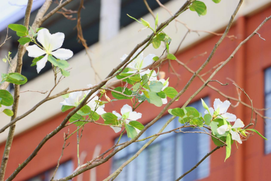 1774571792566350.png image.png