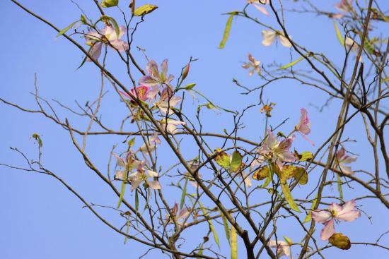 1774571801108662.png image.png